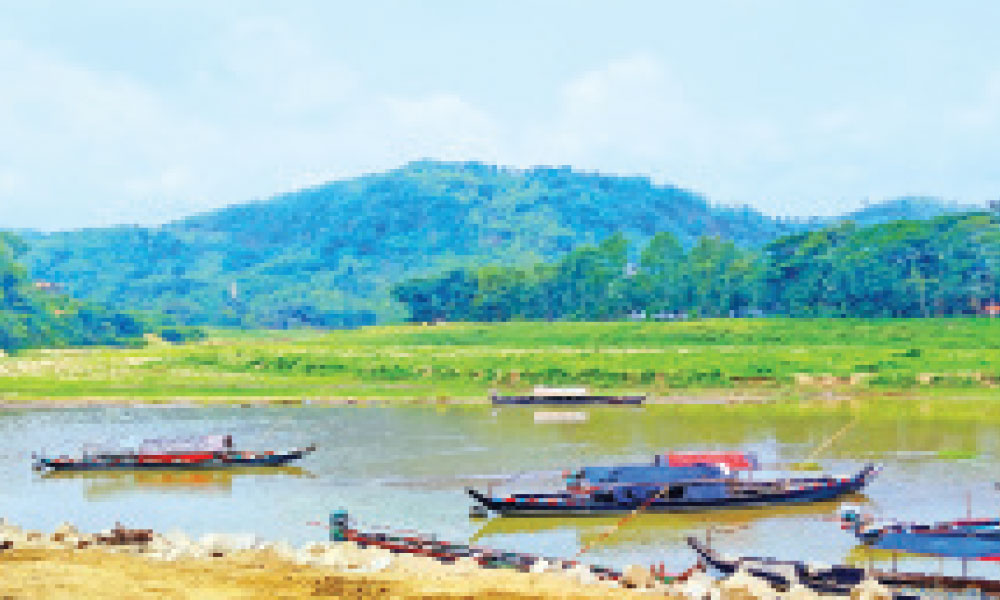 লামার গভীর অরণ্যে